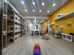 Geylang Road (D14), Retail #539753961